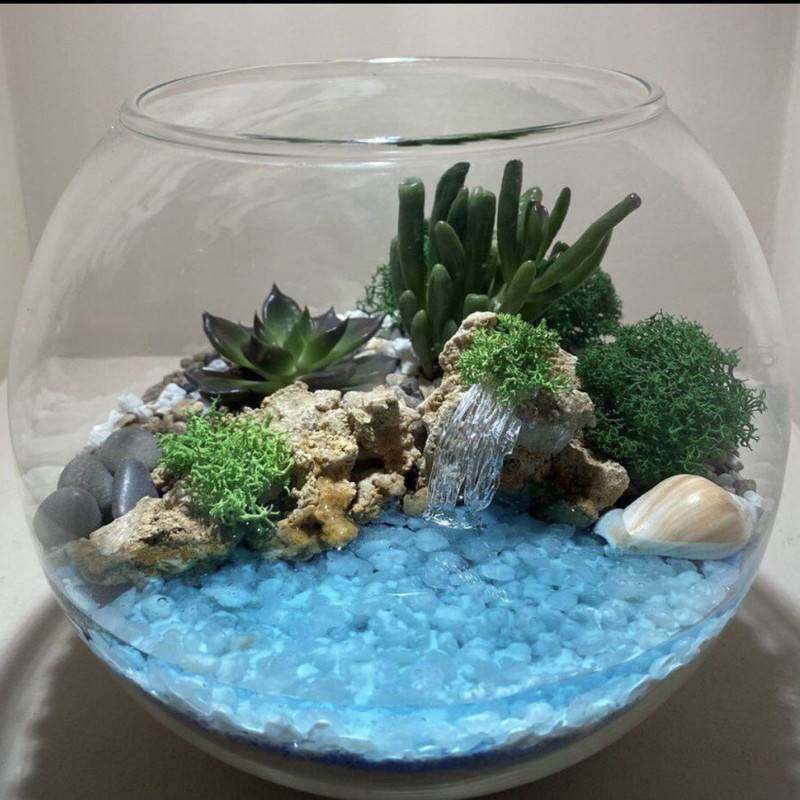 Florarium,with,a,water,tank