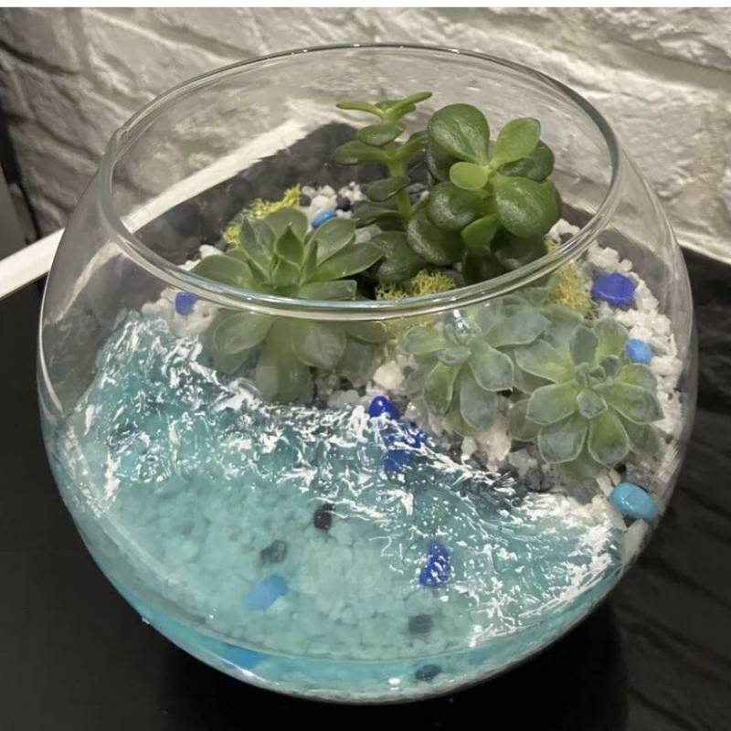 Steklyannij,terrarium,s,sukkulentami.,Florarium,s,vodyomom