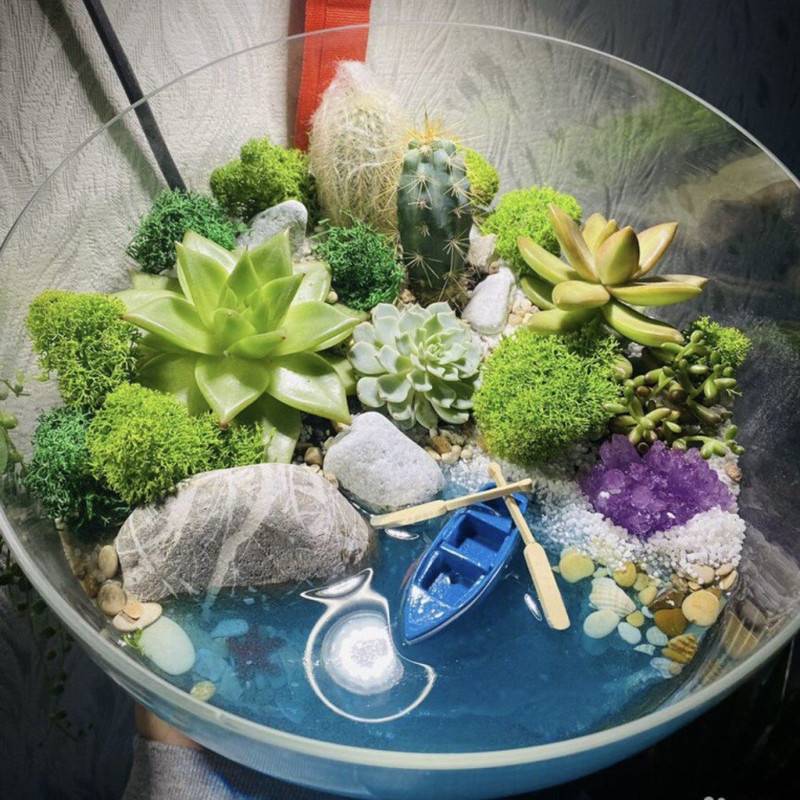 Florarium,s,ozerom.,Oazis,s,skulentami,i,iskustvennim,vodoyomom