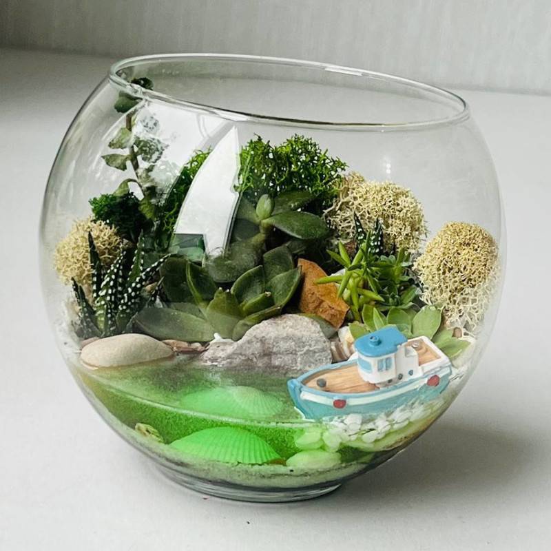 Florarium,s,sukkulentami,i,vodoyomom