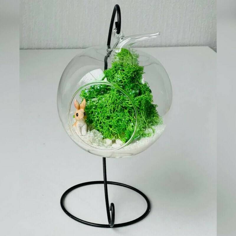 Florarium,novogodnij,s,yolochkoj,i,krolikom