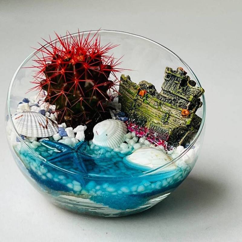 Florarium,s,kaktusom,"Morskoj,briz"