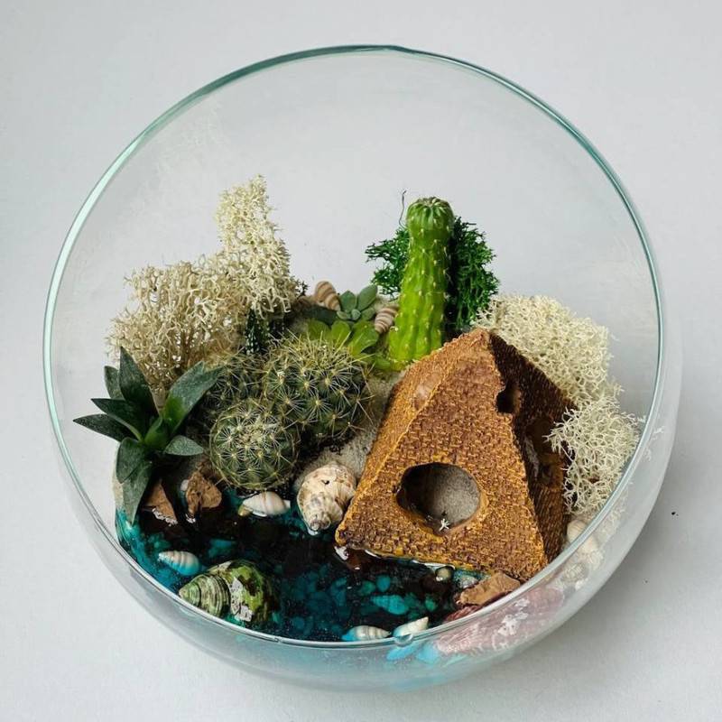 Florarium,s,egipetskoj,piramidoj