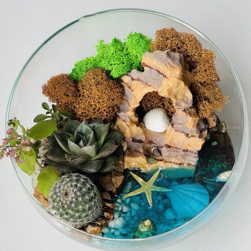 Florarium,s,sukkulentami,i,dekorativenoj,figurkoj