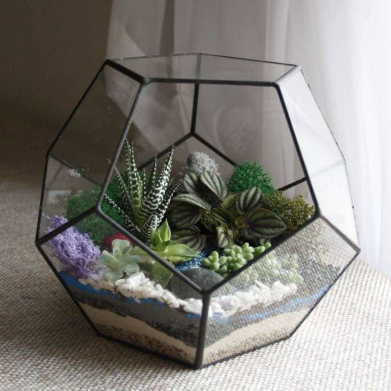 Florarium,dodecahedron