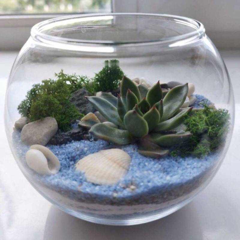 Mossarium,florarium,s,sukkullentom