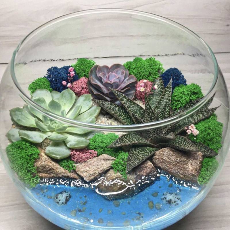 Florarium,Paradise,Island