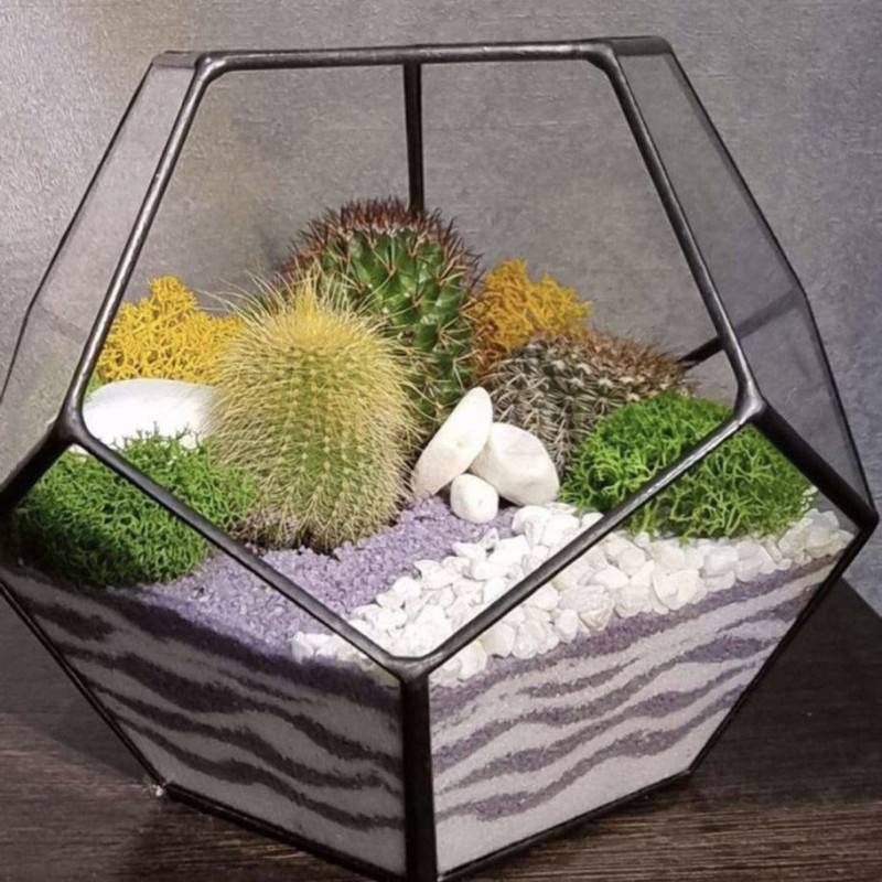 Florarium,with,cacti