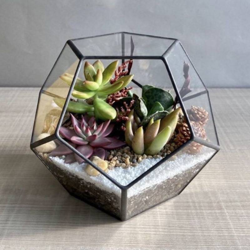 Steklyannij,florarium,s,rasteniyami