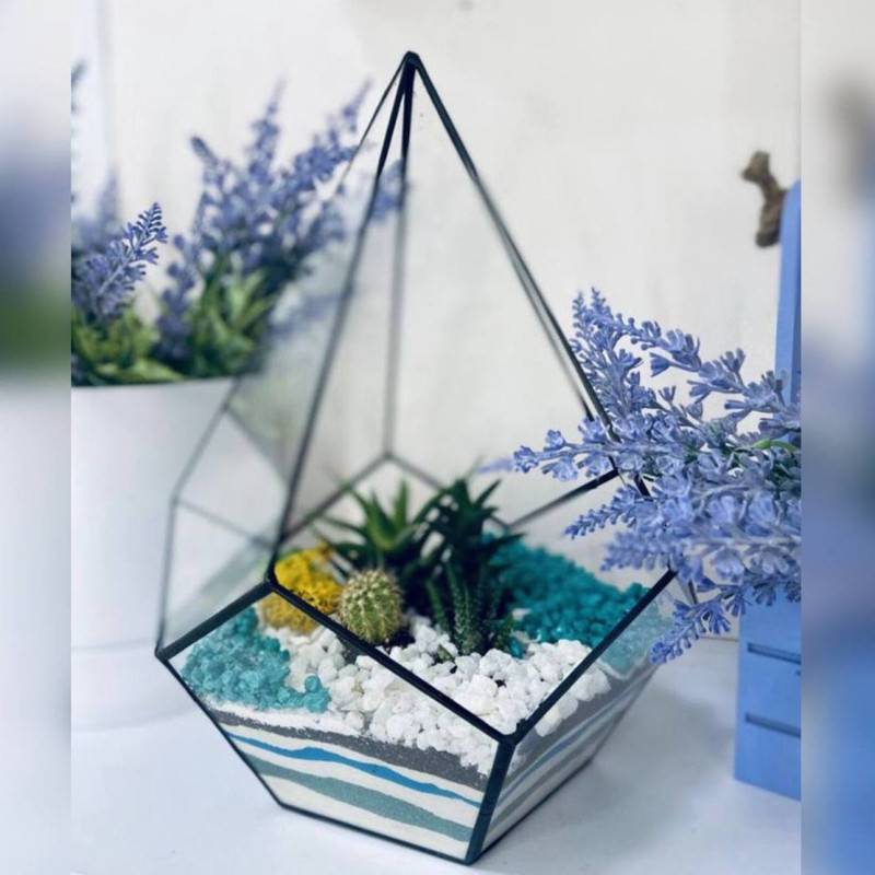 Florarium,kaplya,s,sukkulentami,i,kaktusom