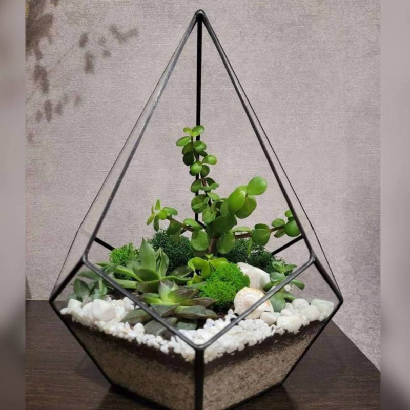 Florarium,drop,with,succulent,plants