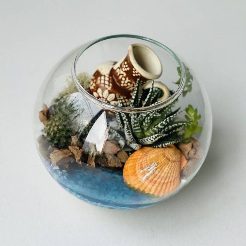 Florarium,kruglij,s,rasteniyami