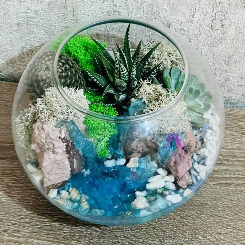 Florarium,s,zhivimi,rasteniyami