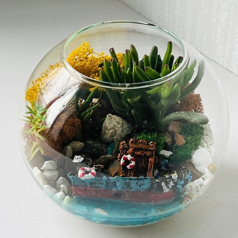 Florarium,aquarium,s,rasteniyami,sukkulentami,i,vodoyomom