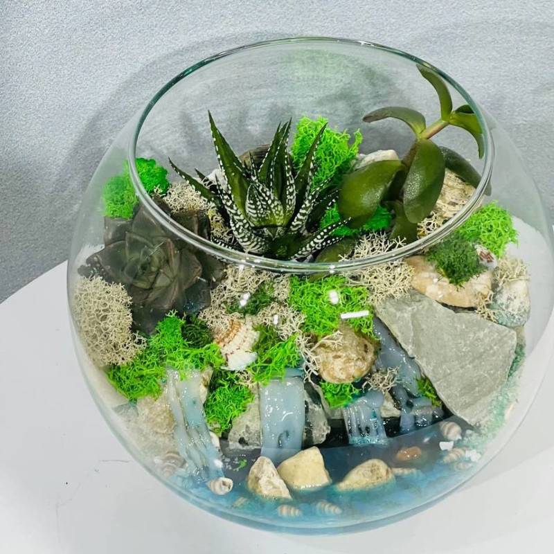 Mini,sad,s,rasteniyami.,Florarium,s,vodoyomom.,Havortiya,sukkulenti