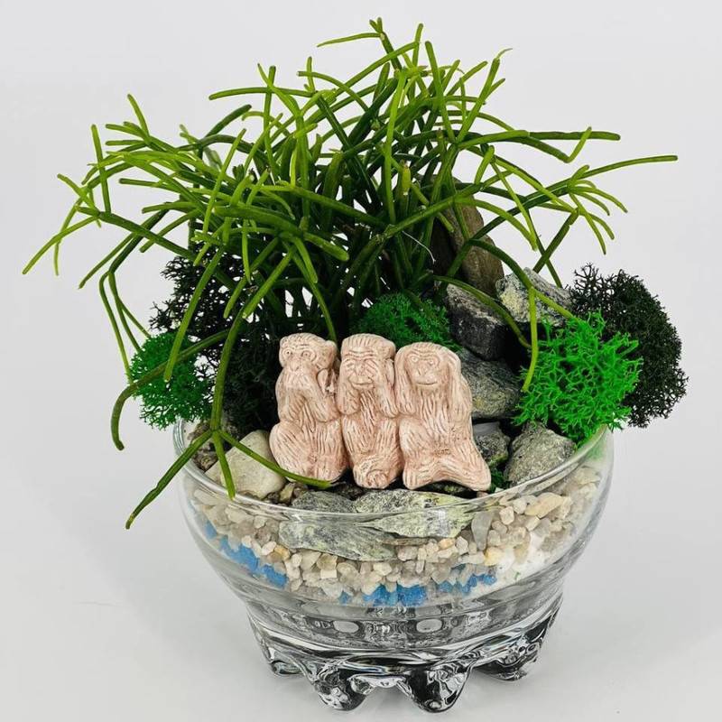 Rastitel_nij,mini,florarium,s,figurkoj,netcke,"Tri,obez_yani"