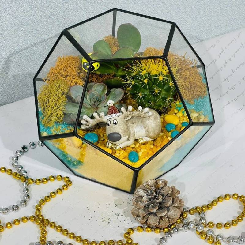 Souvenir,florarium,novogodnij
