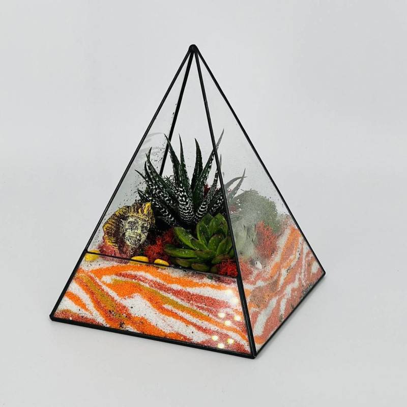 Florarium,s,peskom,Egipetskaya,piramida.,Havortiya,,everiya