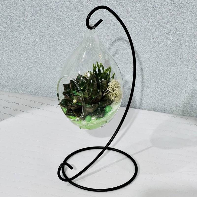 Mini,florarium,na,podvese,s,eheveriej