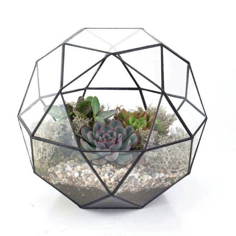 Florarium,shar,geometricheskij