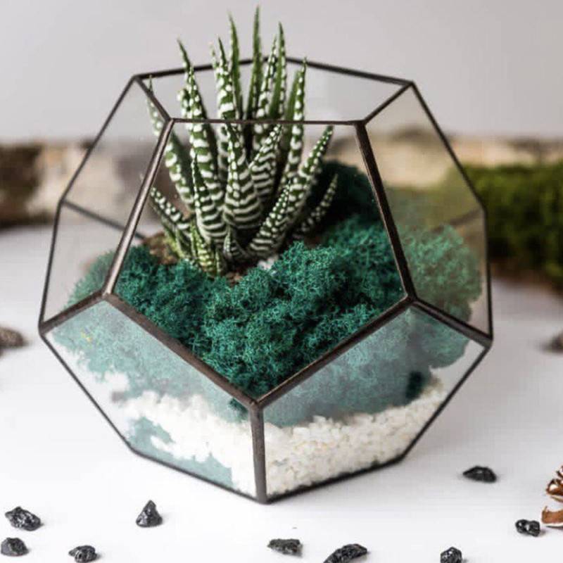 Florarium,of,Havorti