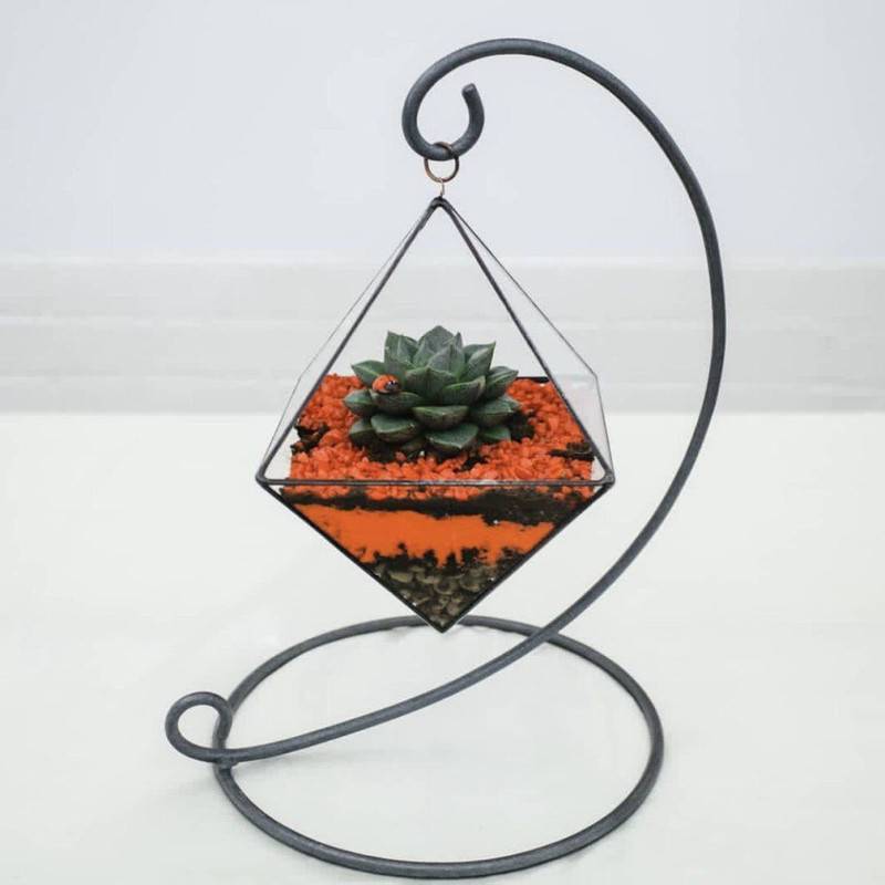Florarium,hanging,lantern