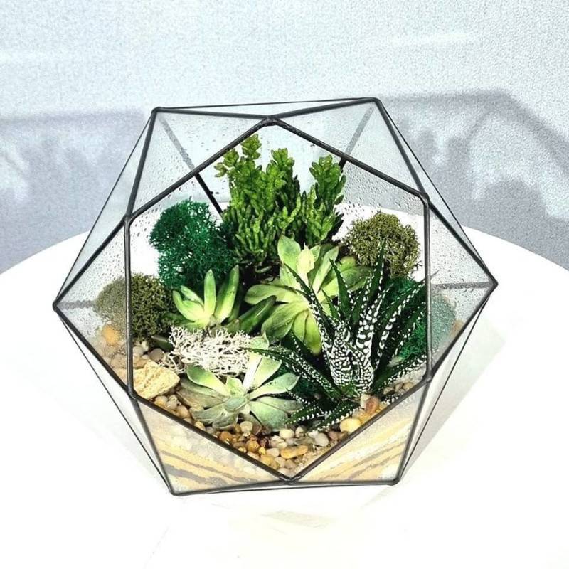 Florarium,bol_shoj,geometricheskij,brilliant