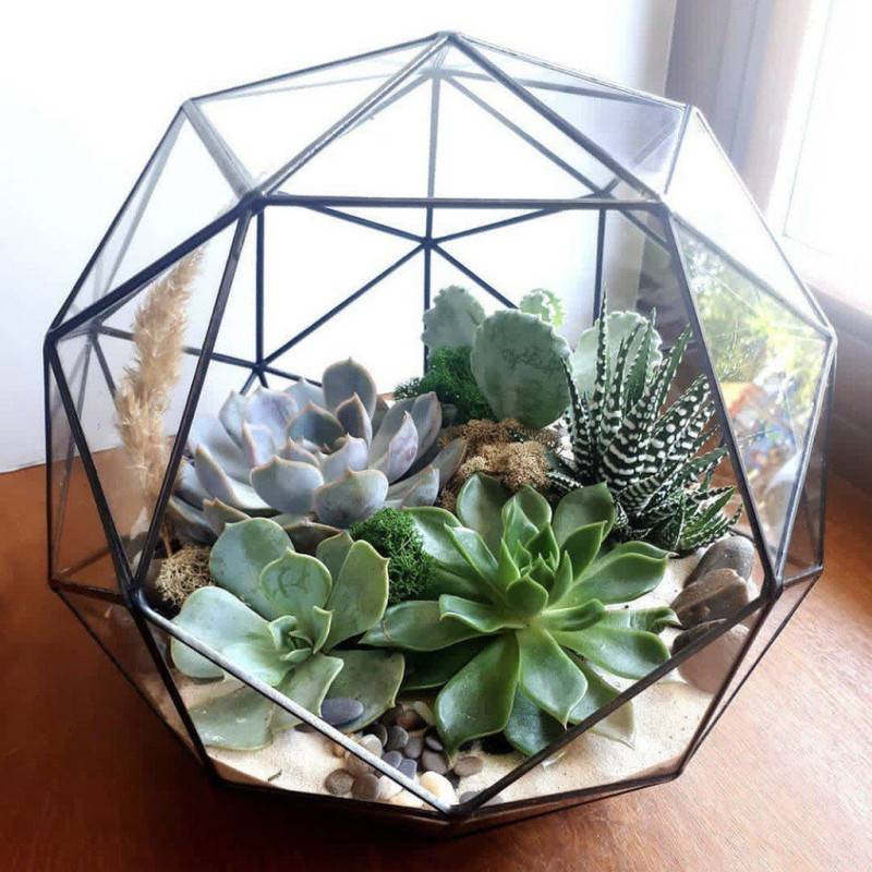 Florarium,shares,geometric,shapes,with,different,shapes,and,sizes