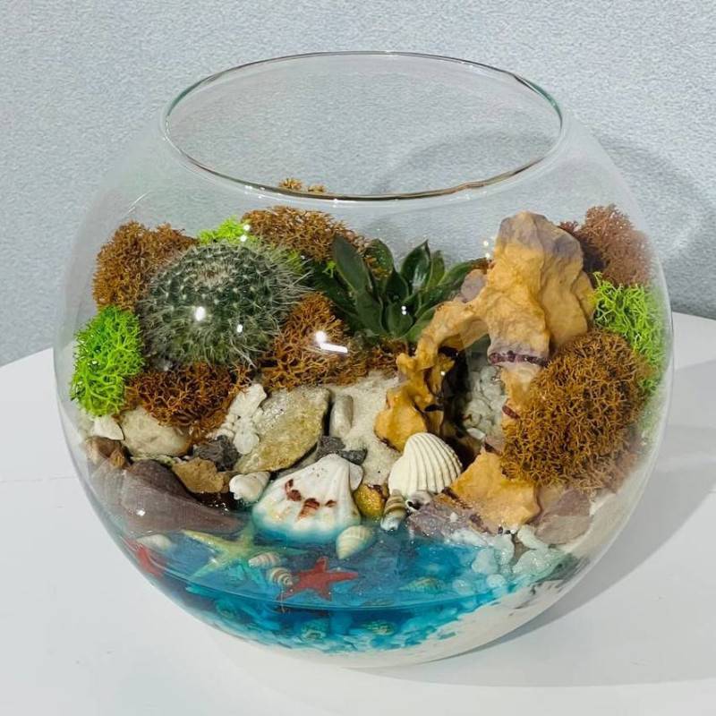 Florarium,akvarium,s,vodoyomom