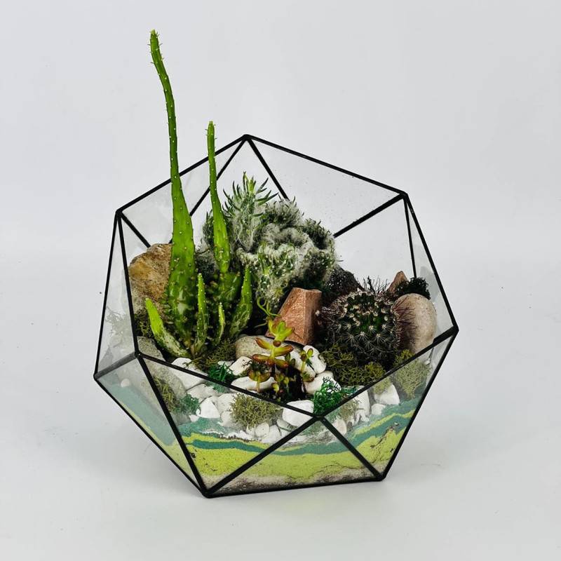 Florarium,podarochnij,s,rasteniyami,inter_ernij