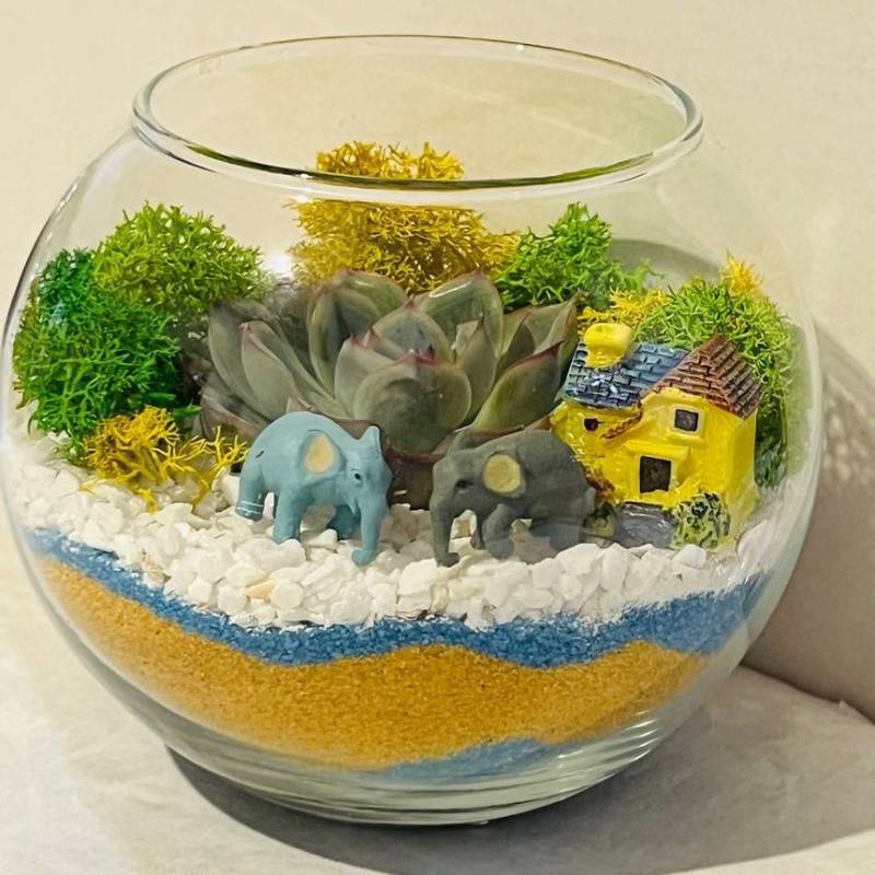 Florarium,mini,s,eheveriej