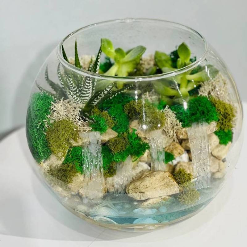 Florarium,vodopad,s,rasteniyami