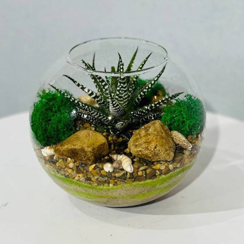 Florarium,inter_ernij,s,havortiej