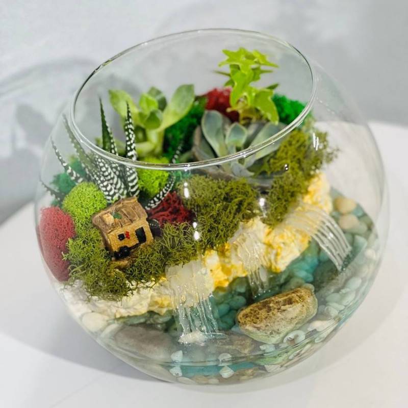 Florarium,waterfall