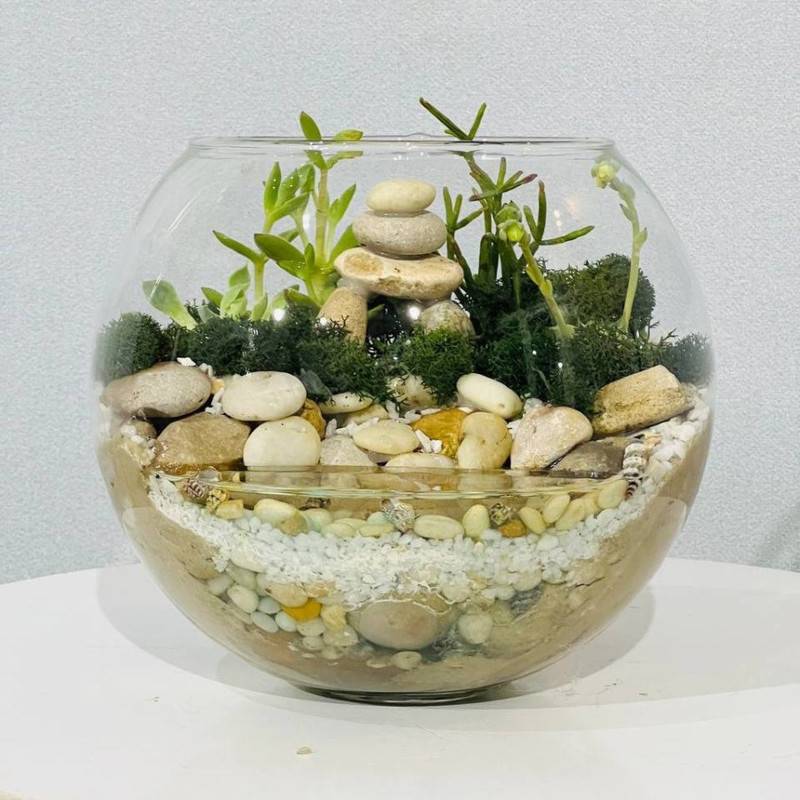 Florarium,inter_ernij,s,skulentami,i,iskustvennim,vodoyomom