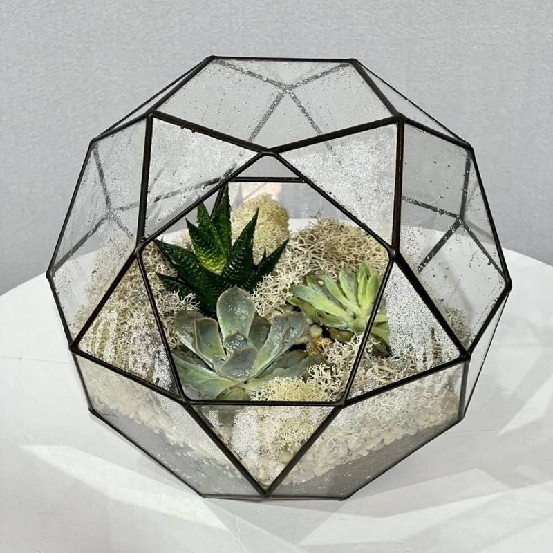 Bol_shoj,florarium,shar,geometricheskij,s,sukkulentami
