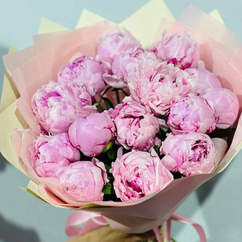 15,rozovih,pionov.,Aromatic,peony