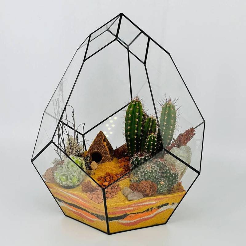 Bol_shoj,florarium,buton,s,kaktusami