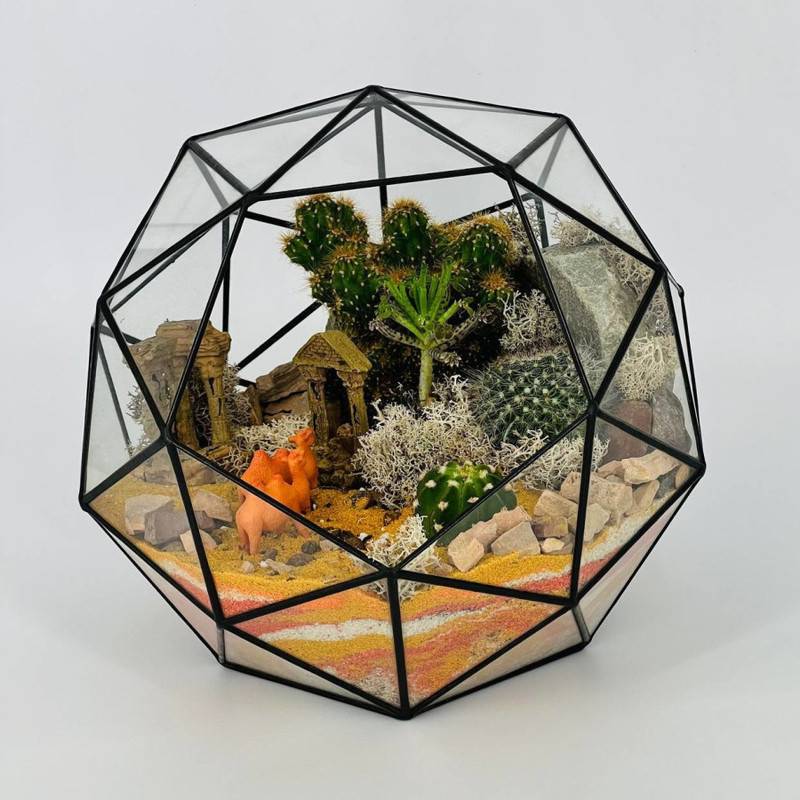 Florium,shar,kosmos,geometricheskij,s,kaktusami