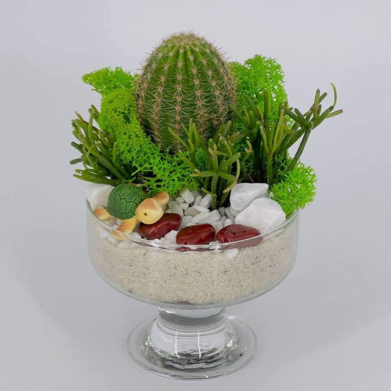 Podarochnij,mini,florarium,s,cherepahoj