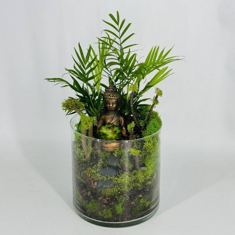 Florarium,palyudarium,s,rasteniyami,"Buddha"