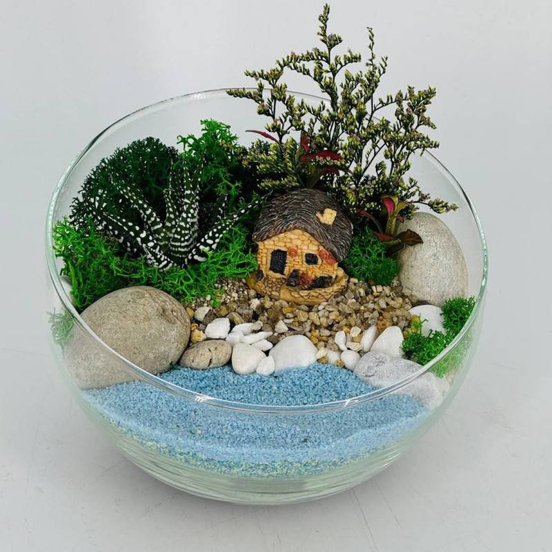 Inter_ernij,nastol_nij,florarium,s,rasteniyami.,Havortiya,,fittoniya