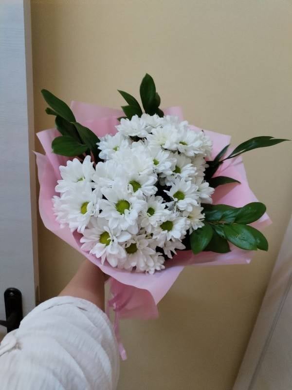 chrysanthemum