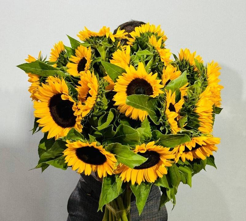 Bol_shoj,bouquet,sunflower,premium,21,pcs