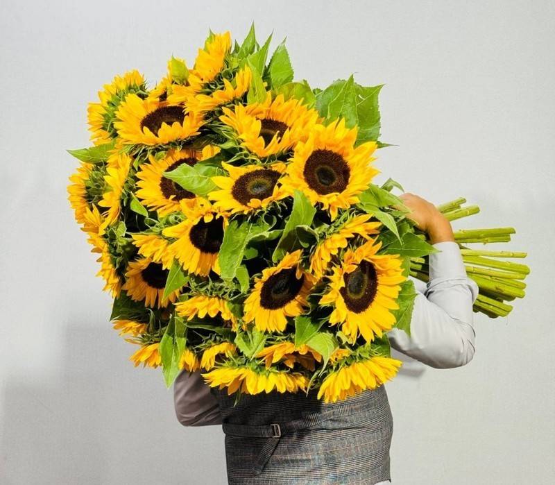 45,sunflowers