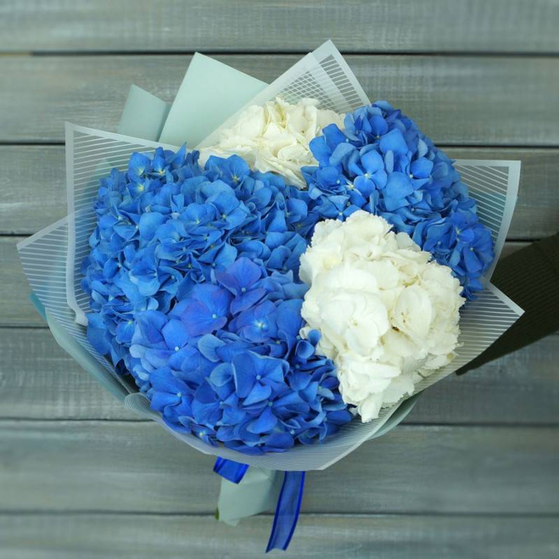 Bouquet,of,5,hydrangeas,and,packaging