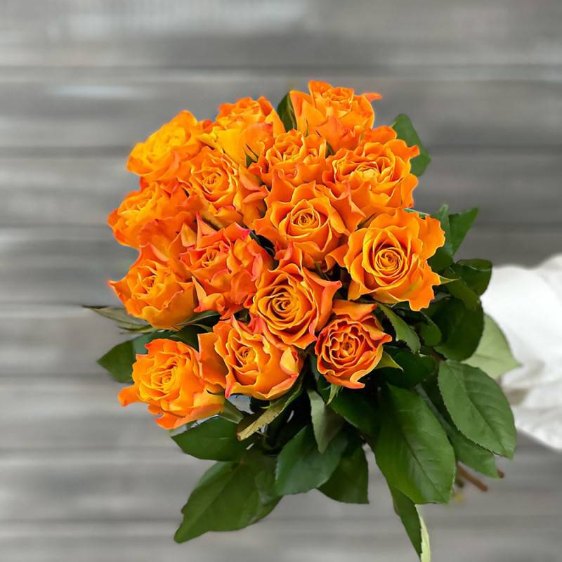 Bouquet,of,15,orange,roses,with,Kenya,ribbon,40,cm.