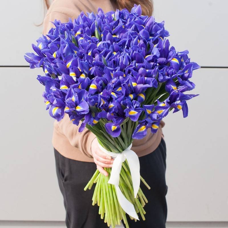 Bouquet,of,flowers,"Iris,garden"