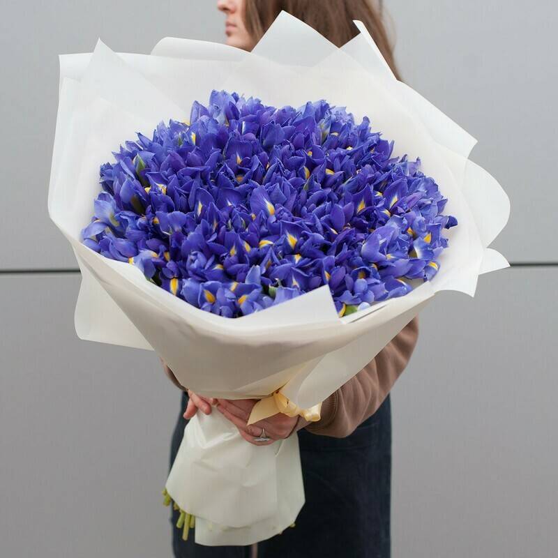 Bouquet,tcvetov,"Plenitel_nie,irisi"