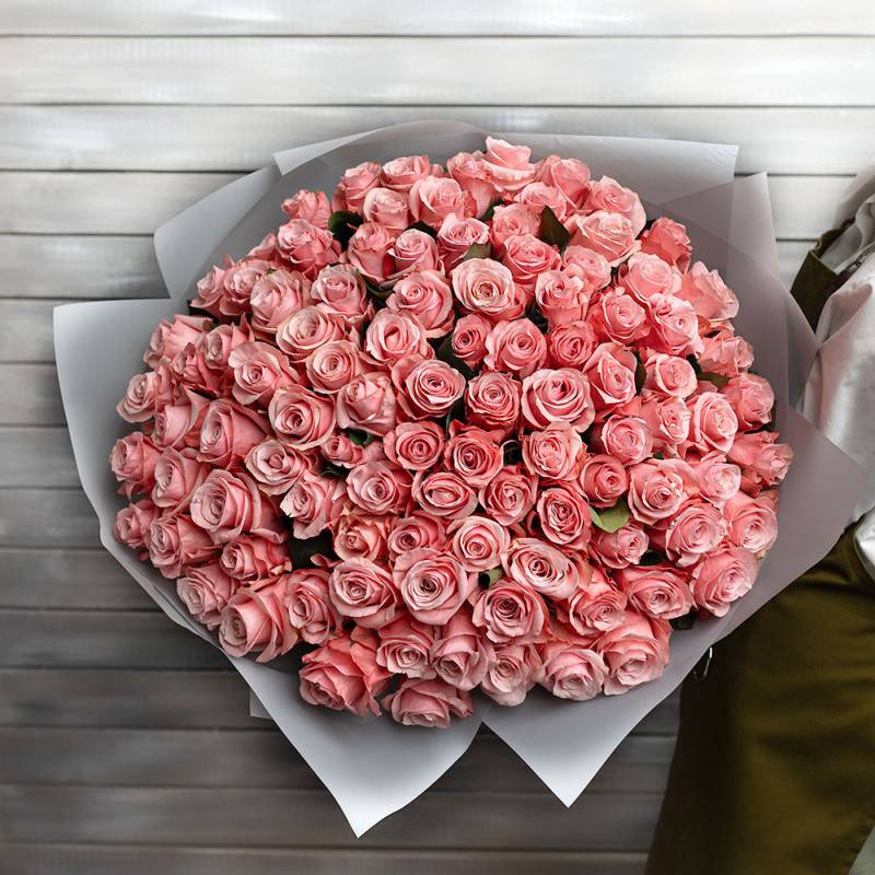 101,pink,roses,in,packaging,Ecuador,50,cm